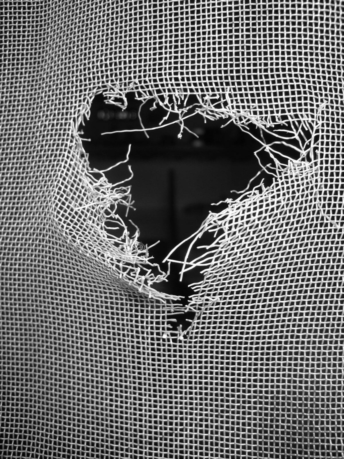 Obvezni komarniki še posebej v poletnih dneh